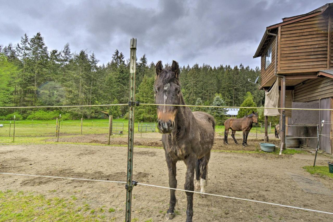 Peaceful Cabin On Horse Farm, 5 Mi To Town! Villa Port Townsend Buitenkant foto