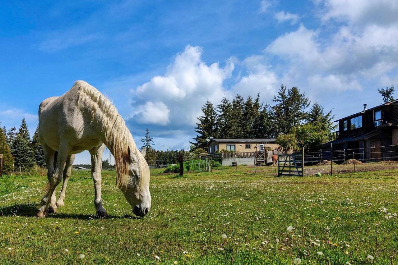 Peaceful Cabin On Horse Farm, 5 Mi To Town! Villa Port Townsend Buitenkant foto